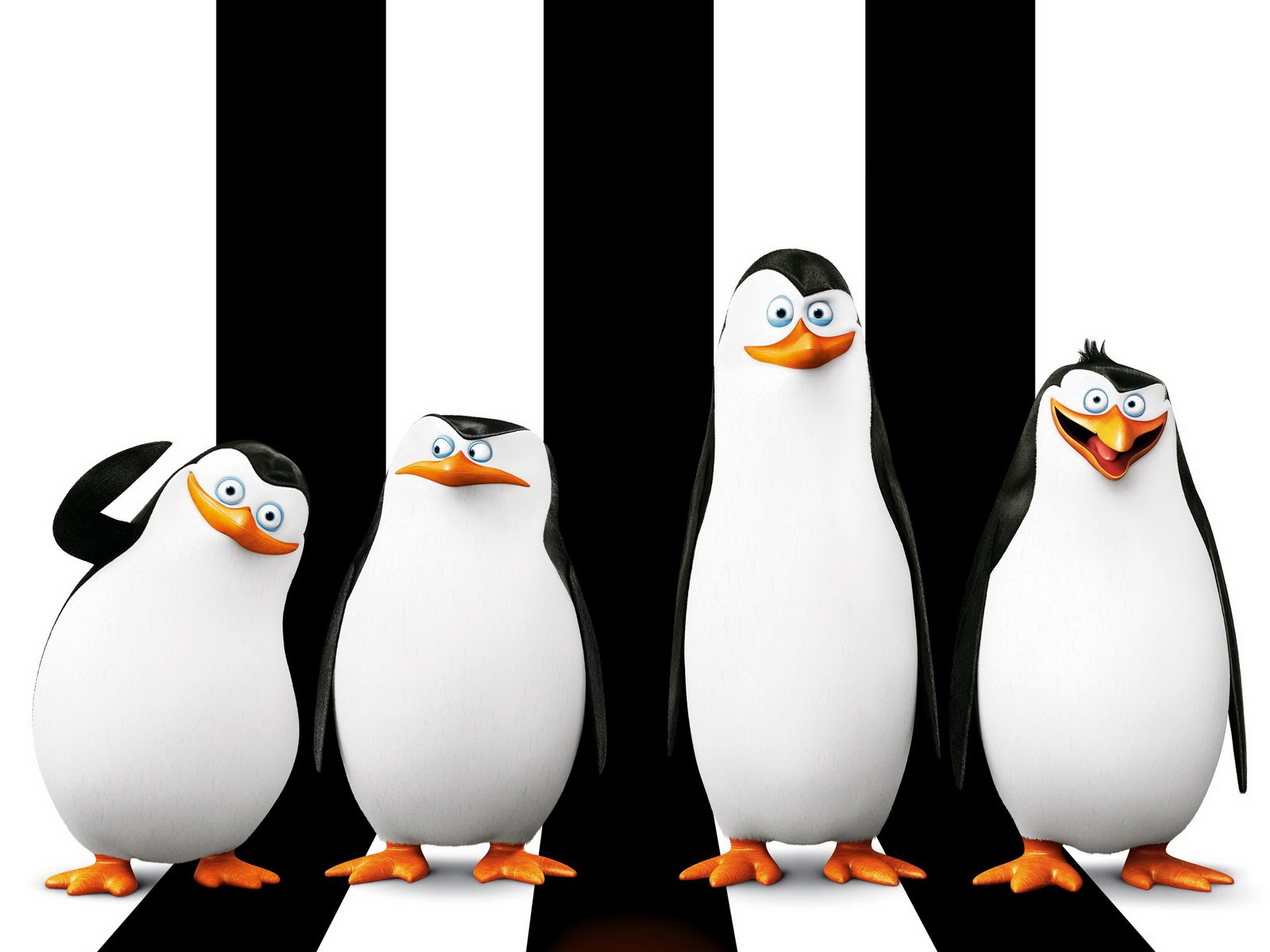penguins, Of, Madagascar, Skipper, Kowalski, Penguins Wallpaper