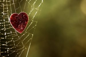web, Heart, Background, Blurred