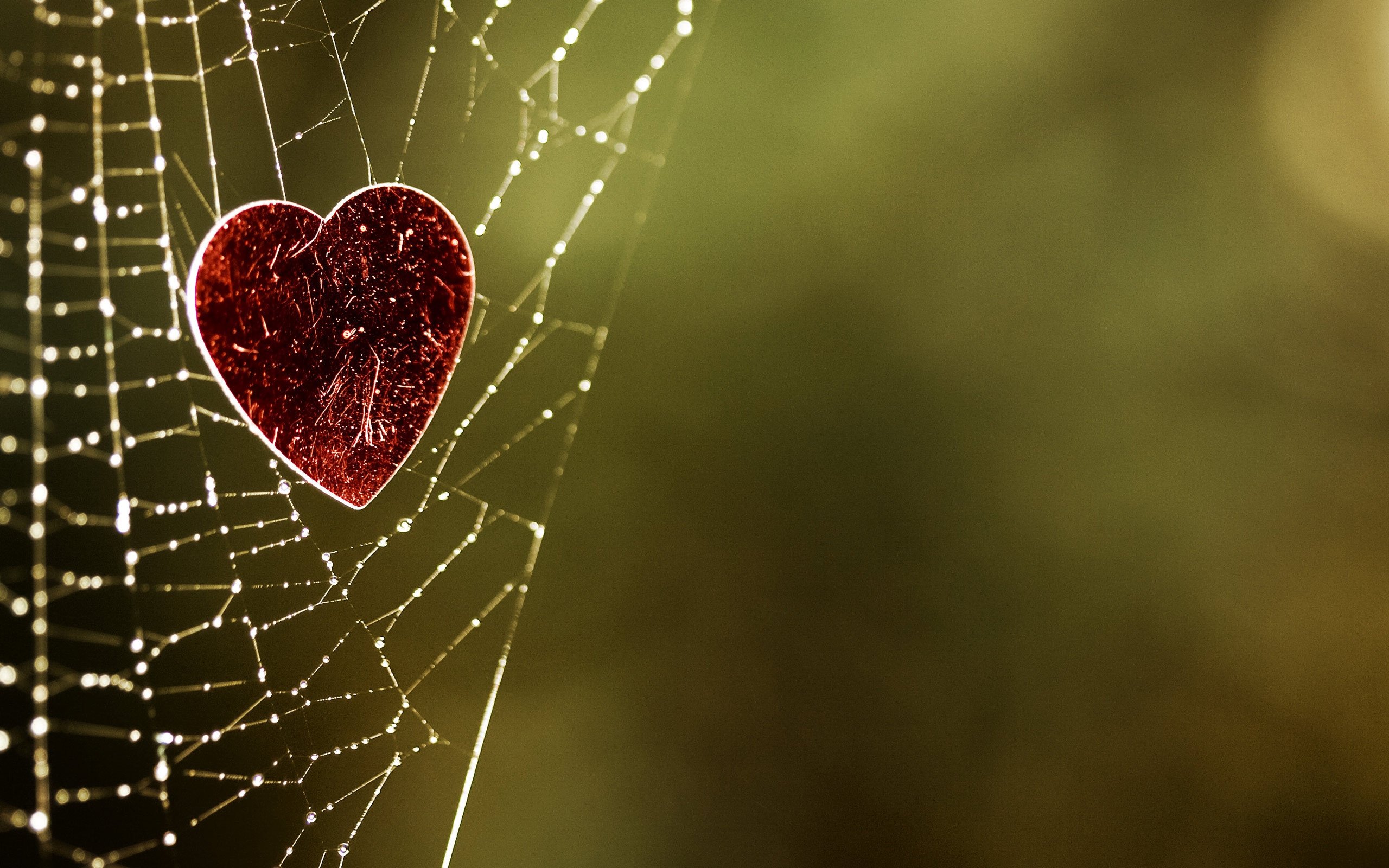 web, Heart, Background, Blurred Wallpaper