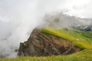 original, Photo, Landscape, Beauty, Nature, Mountain, Fog, Flower