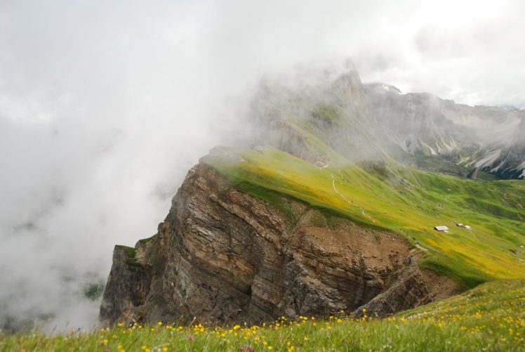 original, Photo, Landscape, Beauty, Nature, Mountain, Fog, Flower HD Wallpaper Desktop Background