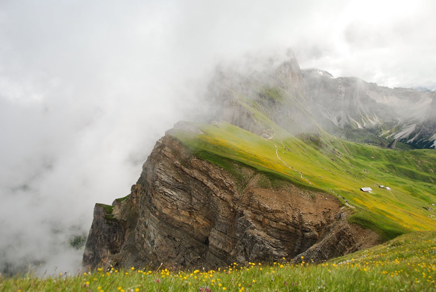 original, Photo, Landscape, Beauty, Nature, Mountain, Fog, Flower Wallpaper