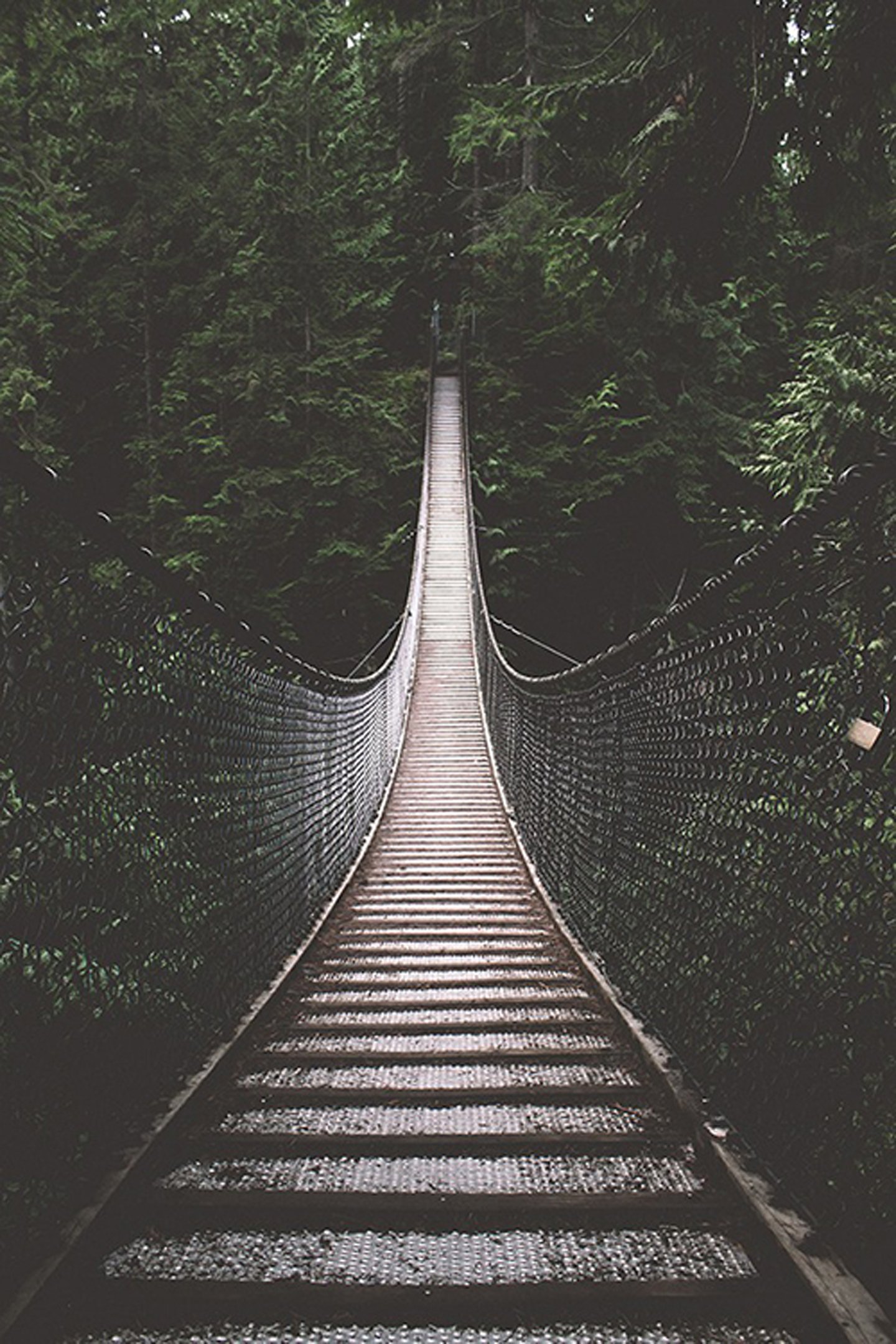 original, Photo, Bridge, Forest, Landscape, Mountain, Beauty Wallpaper