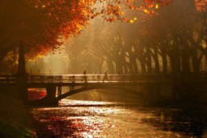 autumn, Tree, Leaves, Beauty, Nature, Landscape, Bridge, Peoples, River