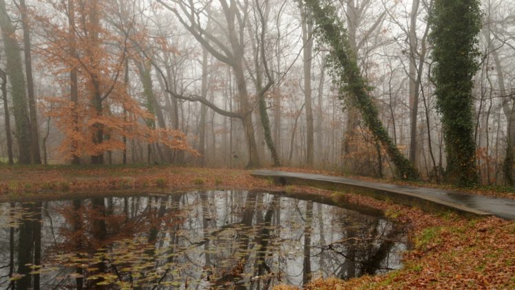 autumn, Tree, Leaves, Beauty, Nature, Landscape, Lake HD Wallpaper Desktop Background