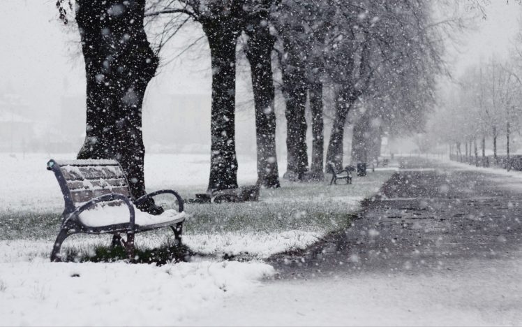winter, Snow, Tree, Beauty, Nature, Landscape HD Wallpaper Desktop Background