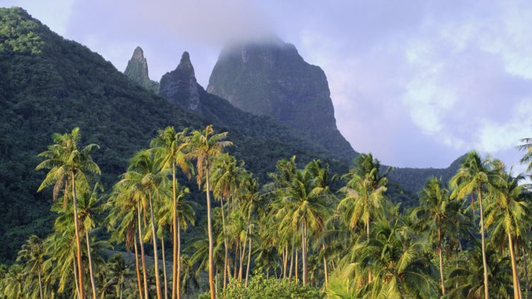 french, Polynesia, Moorea, Mount HD Wallpaper Desktop Background