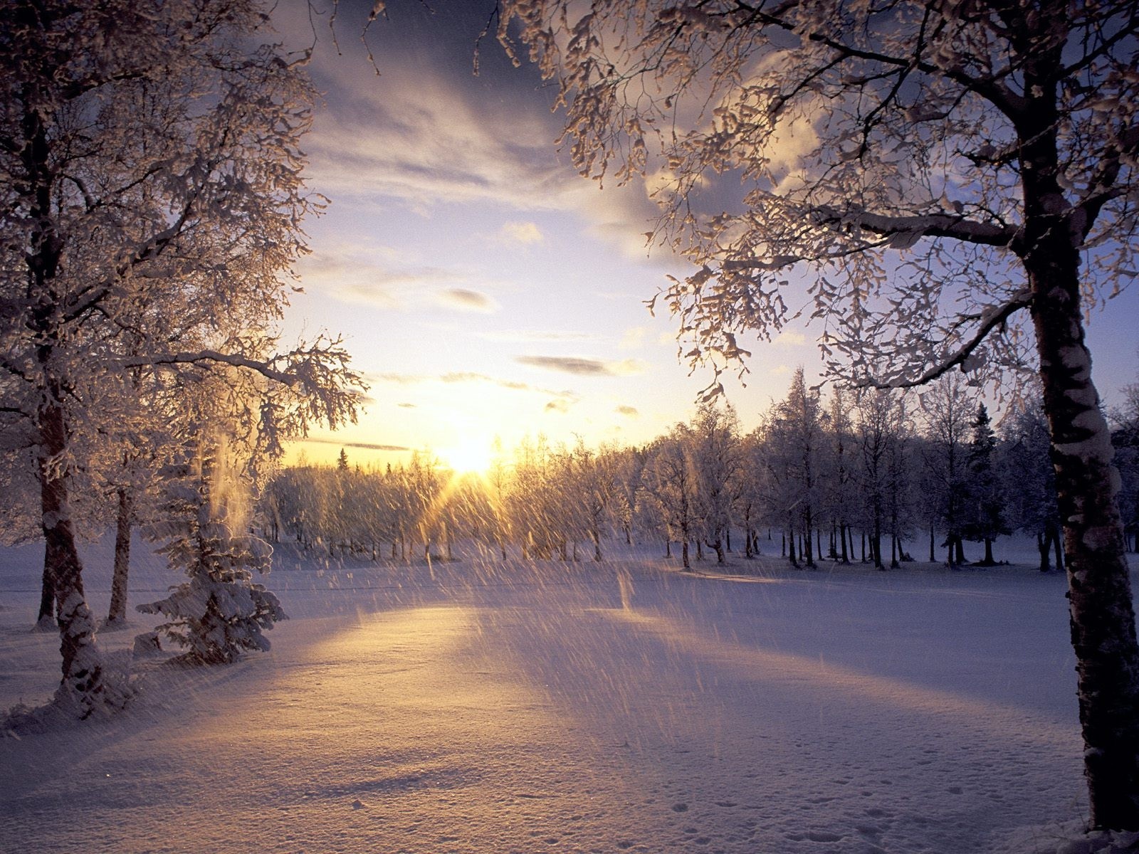 landscapes, Nature, Snow, Landscapes Wallpaper