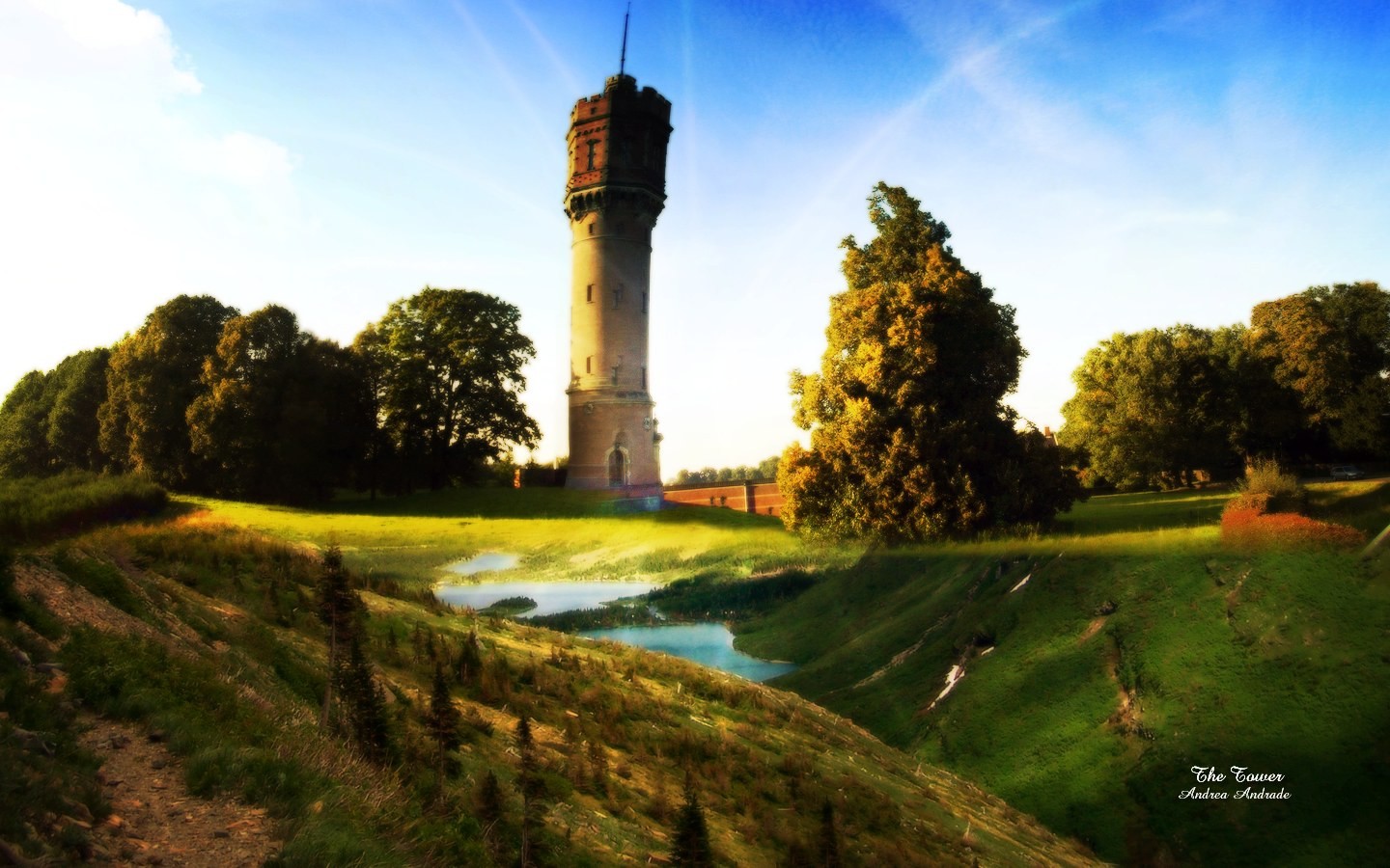 green, Trees, Tower, Forest, Natural Wallpaper