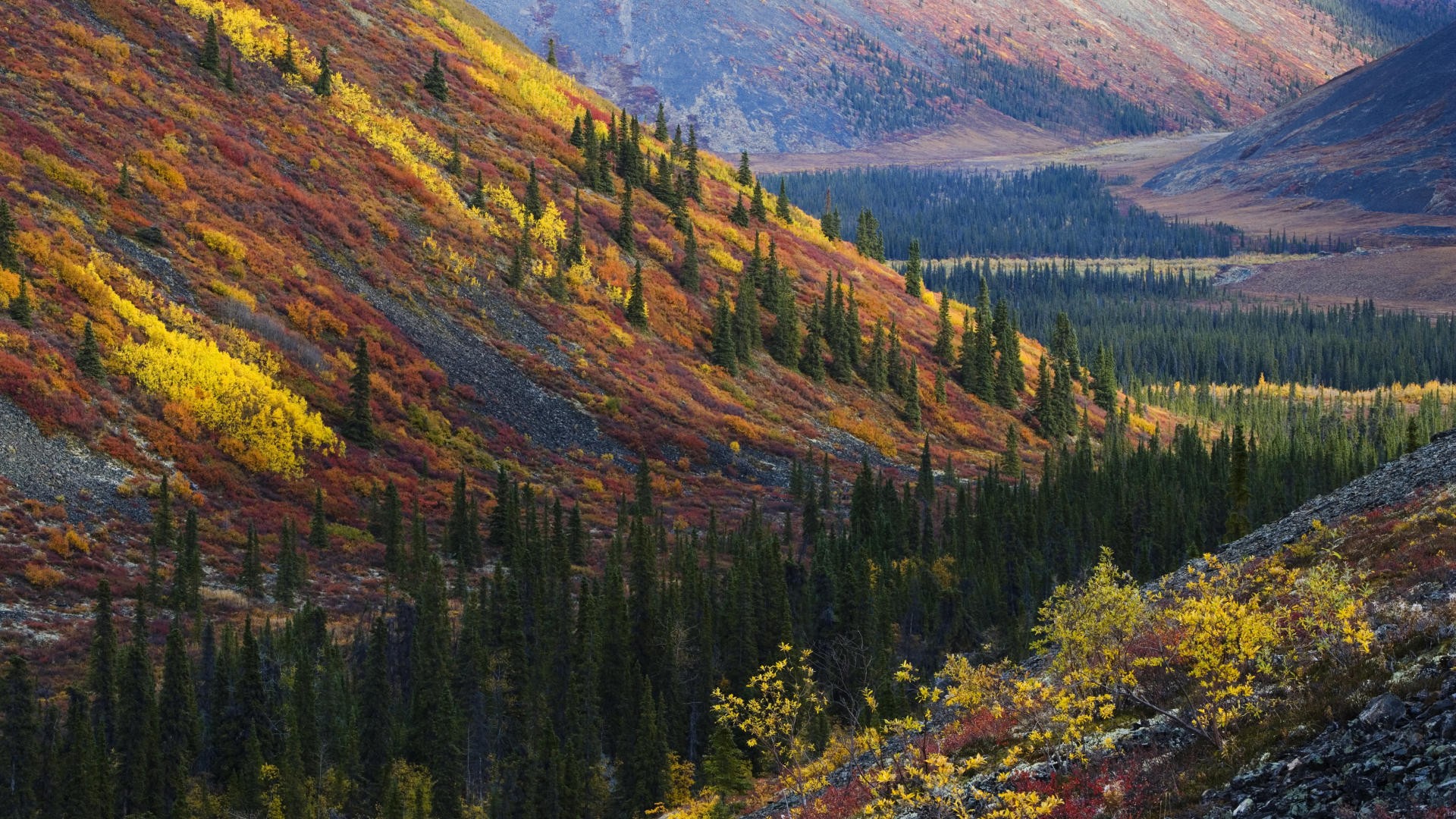 mountains, Autumn,  season , Canada Wallpaper