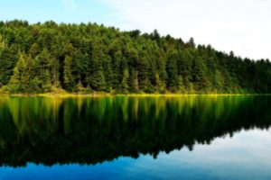 water, Landscapes, Forest, Lakeside