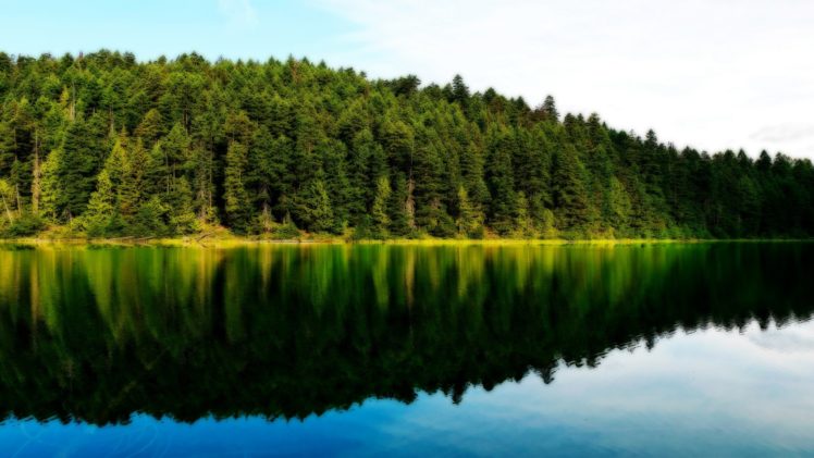 water, Landscapes, Forest, Lakeside HD Wallpaper Desktop Background