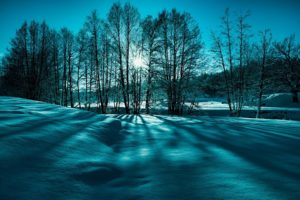 landscape, Snow, Trees, Winter, Nature, Beauty