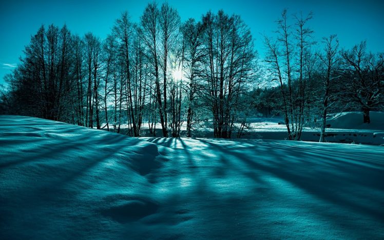 landscape, Snow, Trees, Winter, Nature, Beauty HD Wallpaper Desktop Background
