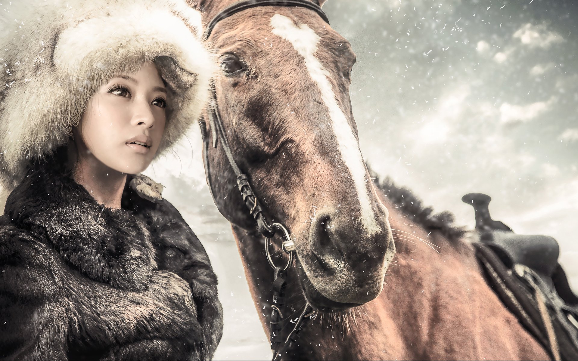 horse, Winter, Coat, Fur, Hat, Horse, Snow, Girls Wallpaper