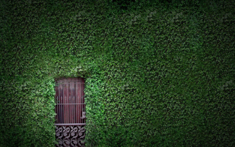 a, Door, In, The, Nature HD Wallpaper Desktop Background