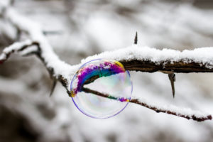 bubble, Macro, Snow, Winter, Branch