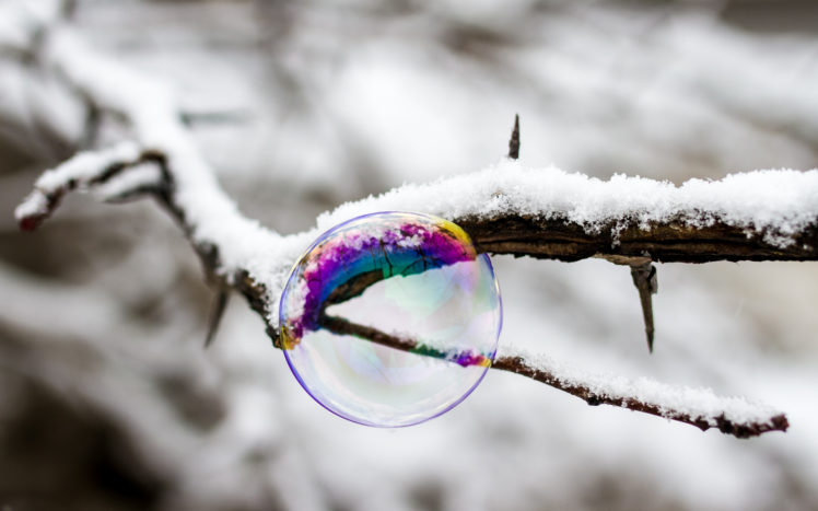 bubble, Macro, Snow, Winter, Branch HD Wallpaper Desktop Background