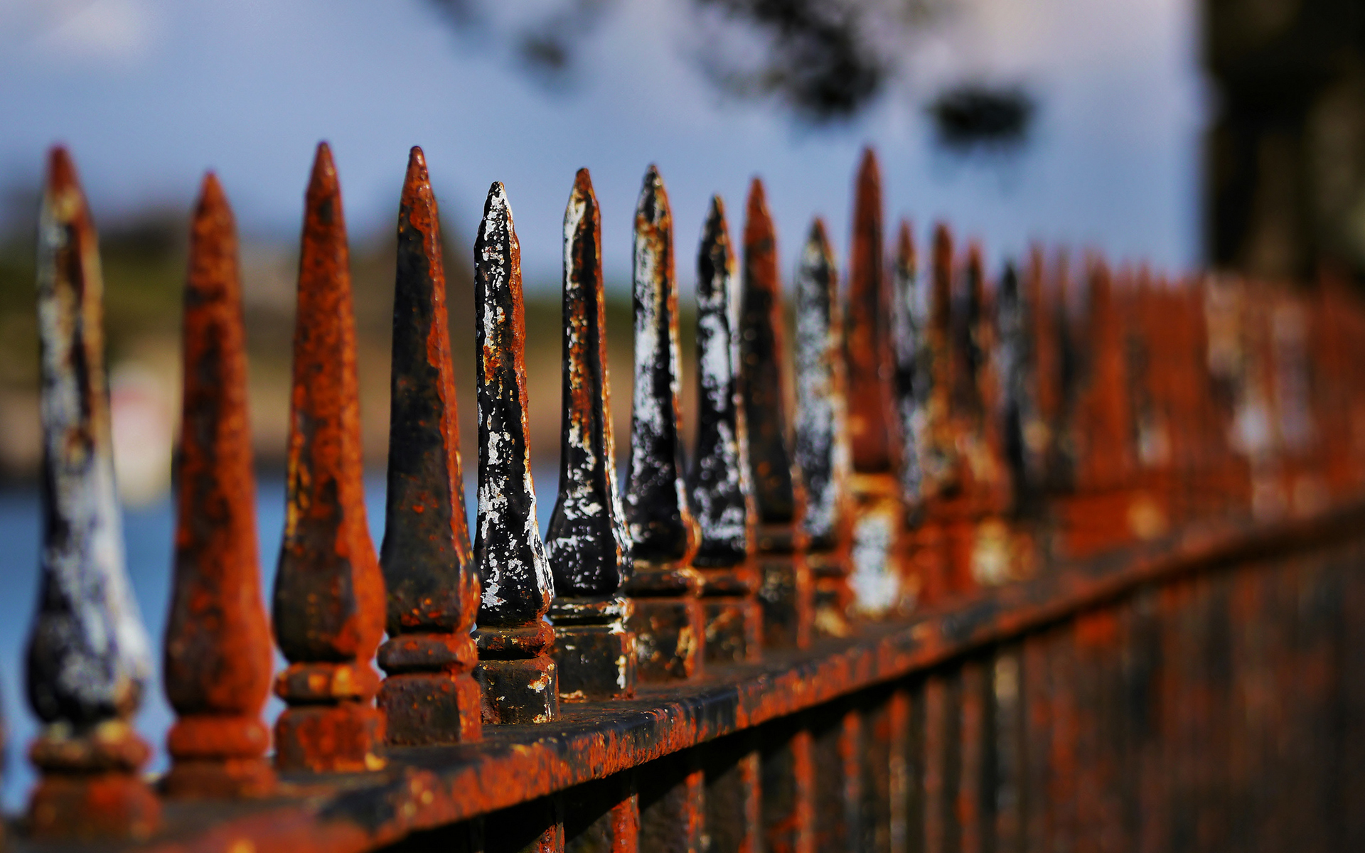 fence, Macro, Rust Wallpaper