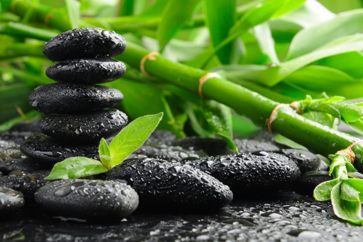 green, Bamboo, And, Black, Stones, Other HD Wallpaper Desktop Background