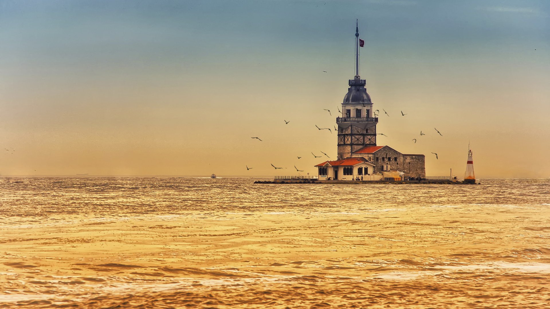 maidenand039s, Tower, Istanbul, Turkey, City, Sea, Seagull, Sunset, Beautiful Wallpaper