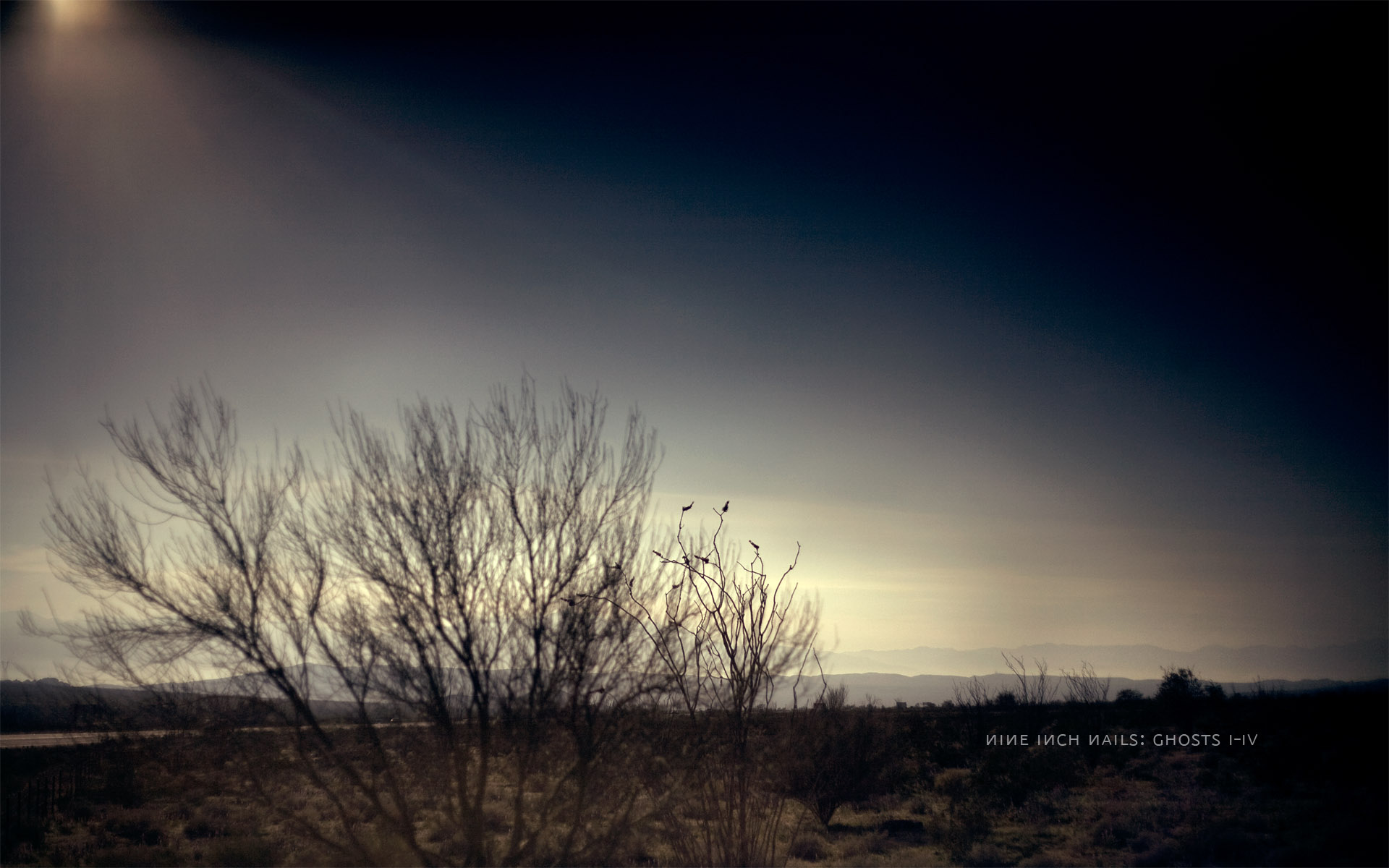 landscapes, Nine, Inch, Nails, Ghosts, Bushes Wallpaper