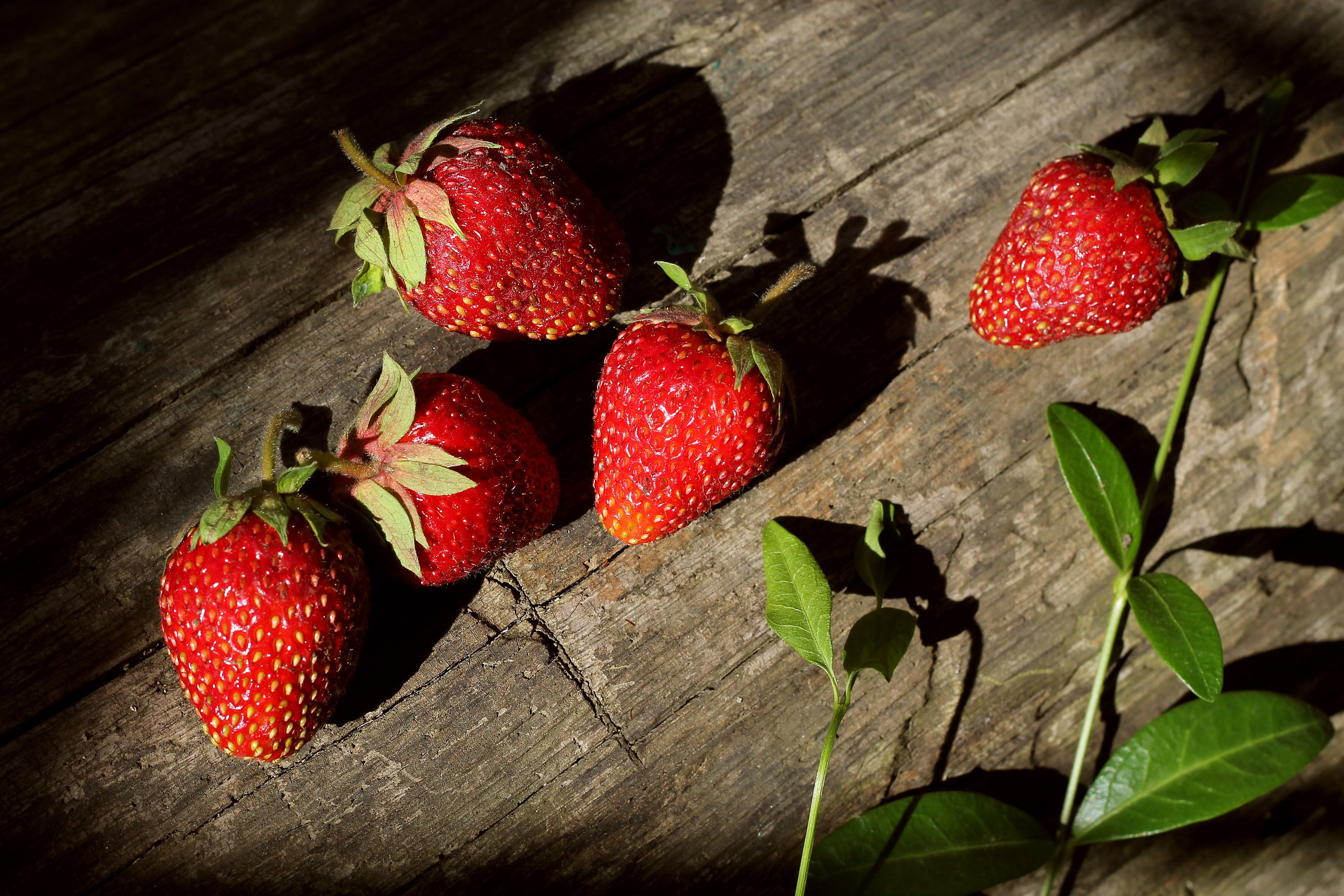 strawberry, Berries, Tasty, Delicious, Sunlight, Log, Wood, Summer Wallpaper