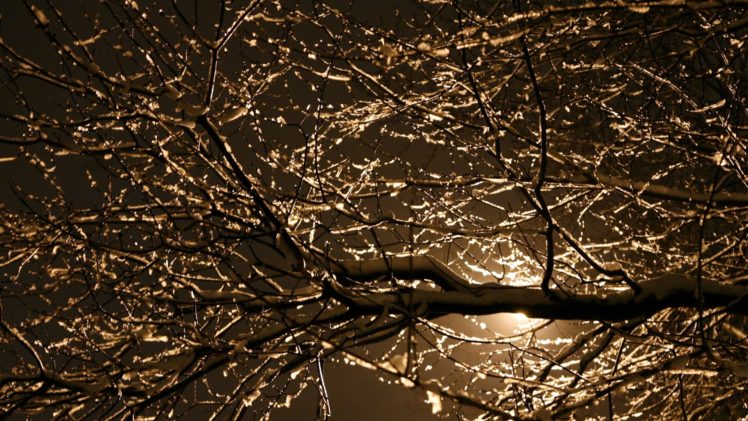 most, Beautiful, Winter, Night, Places HD Wallpaper Desktop Background