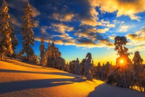 nature, Tree, Light, Snow, Sunset, Winter, Beauty, Landscape