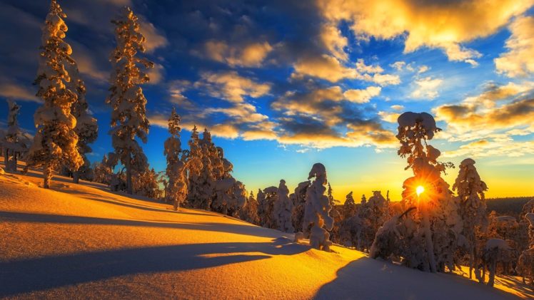 nature, Tree, Light, Snow, Sunset, Winter, Beauty, Landscape HD Wallpaper Desktop Background