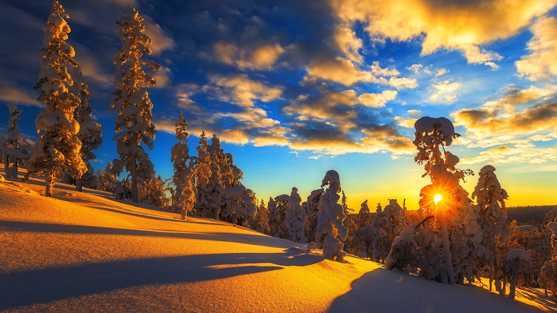 nature, Tree, Light, Snow, Sunset, Winter, Beauty, Landscape Wallpaper