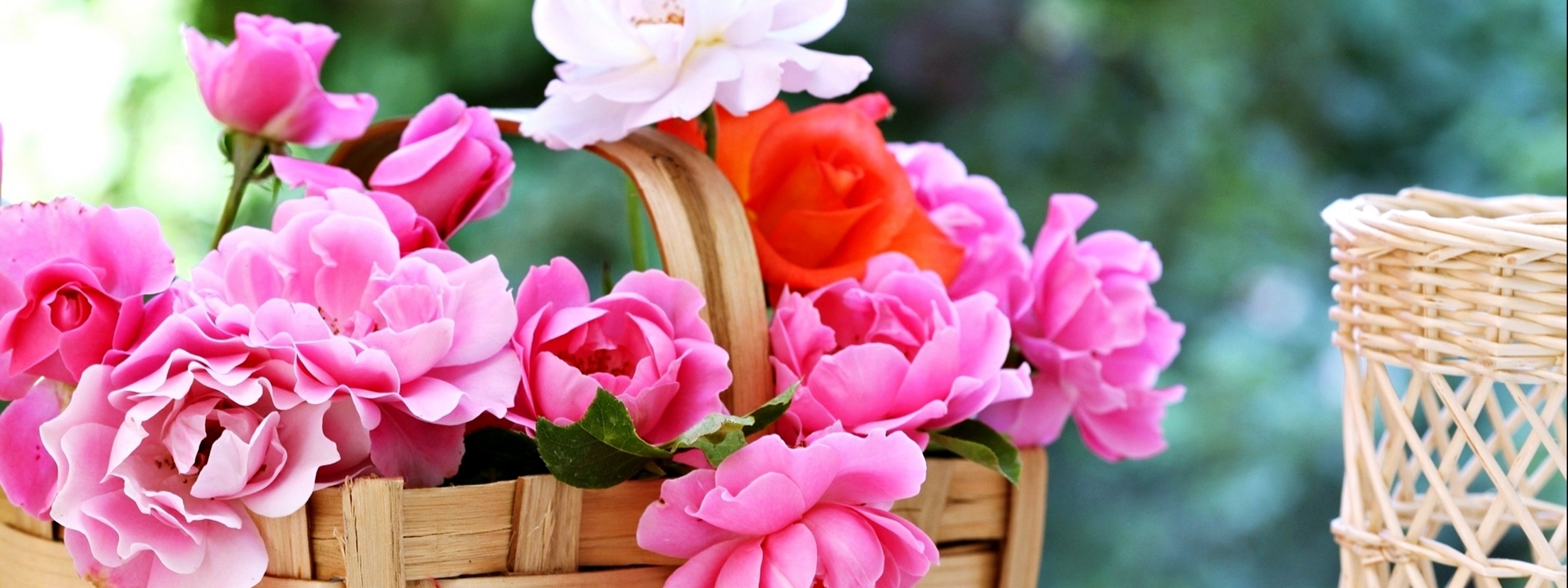 multi, Monitor, Dual, Screen, 3200, 1200 Wallpaper