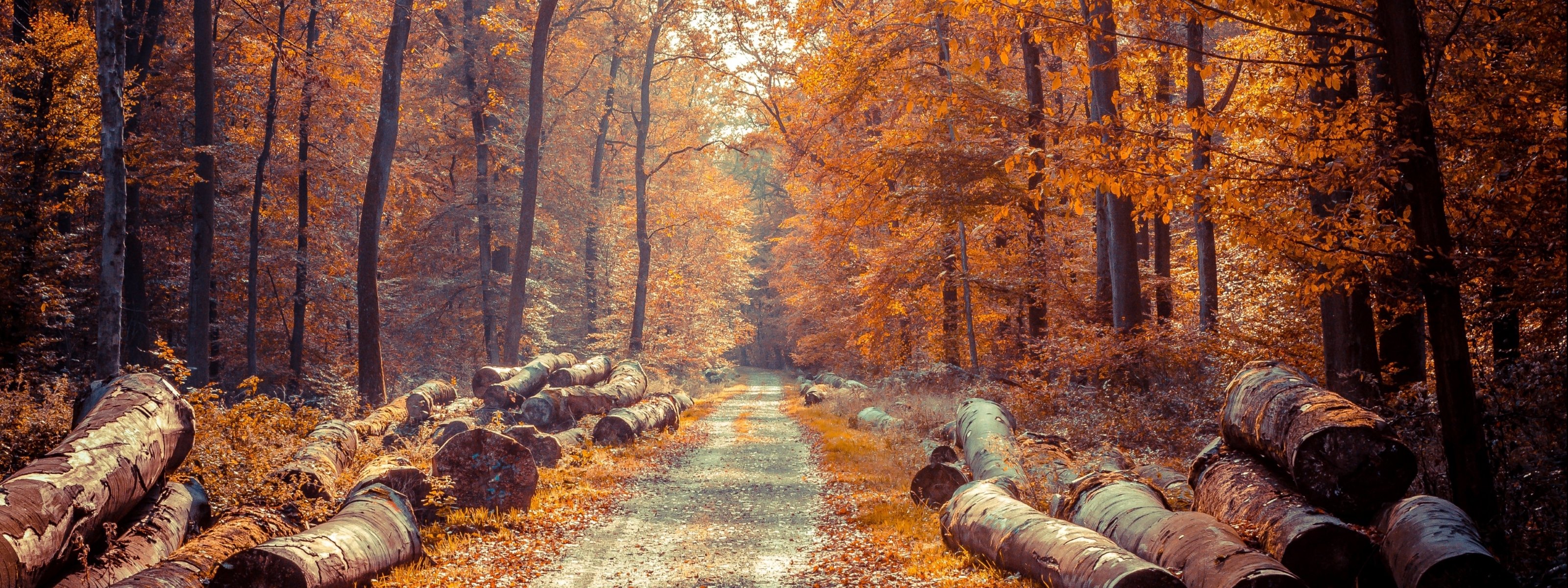 multi, Monitor, Dual, Screen, 3200, 1200 Wallpaper