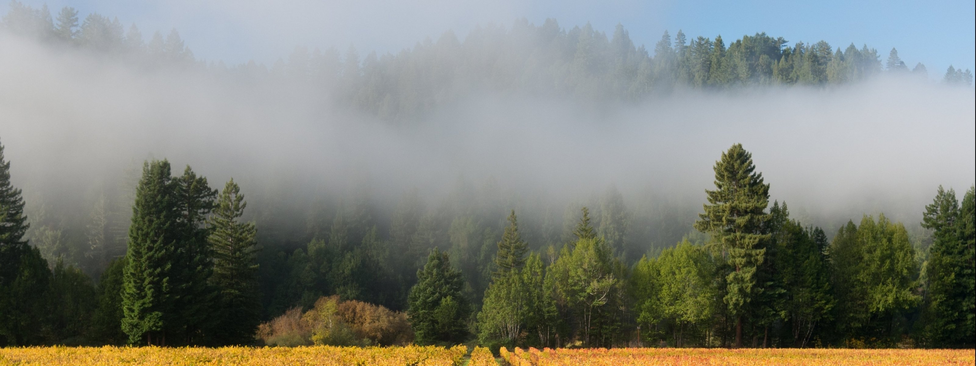 multi, Monitor, Dual, Screen, 3200, 1200 Wallpaper