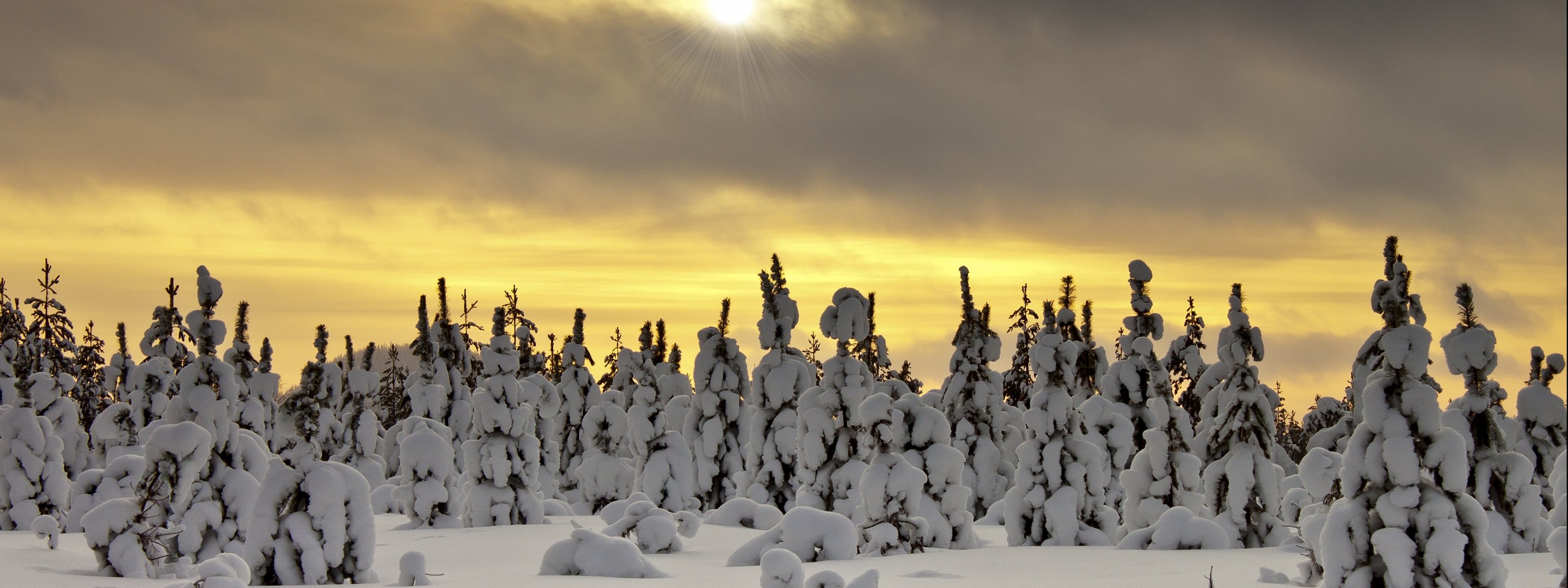 multi, Monitor, Dual, Screen, 3200, 1200 Wallpaper