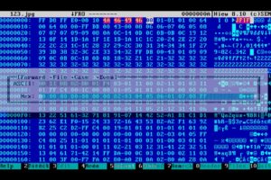 hacker, Hack, Hacking, Internet, Computer, Anarchy, Sadic, Virus, Dark, Anonymous, Code, Binary