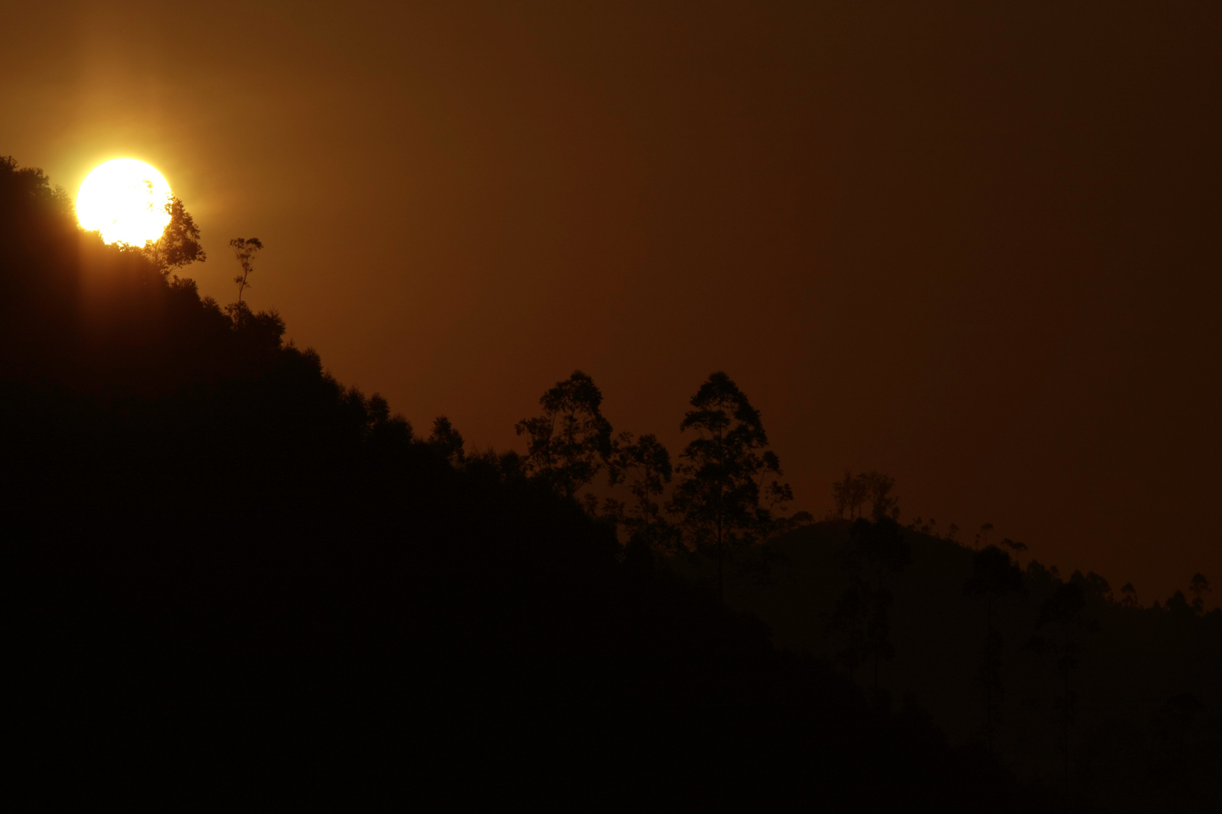 canon, Eos, 20d Wallpaper