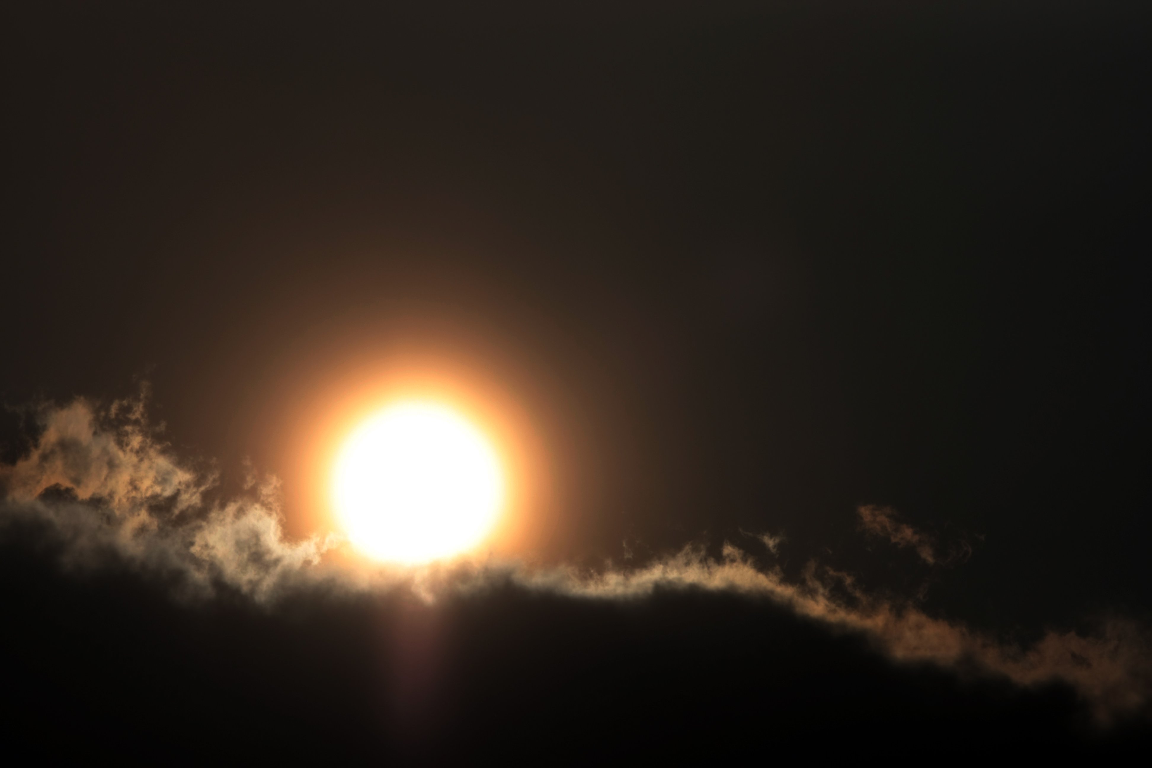 canon, Eos, 20d Wallpaper