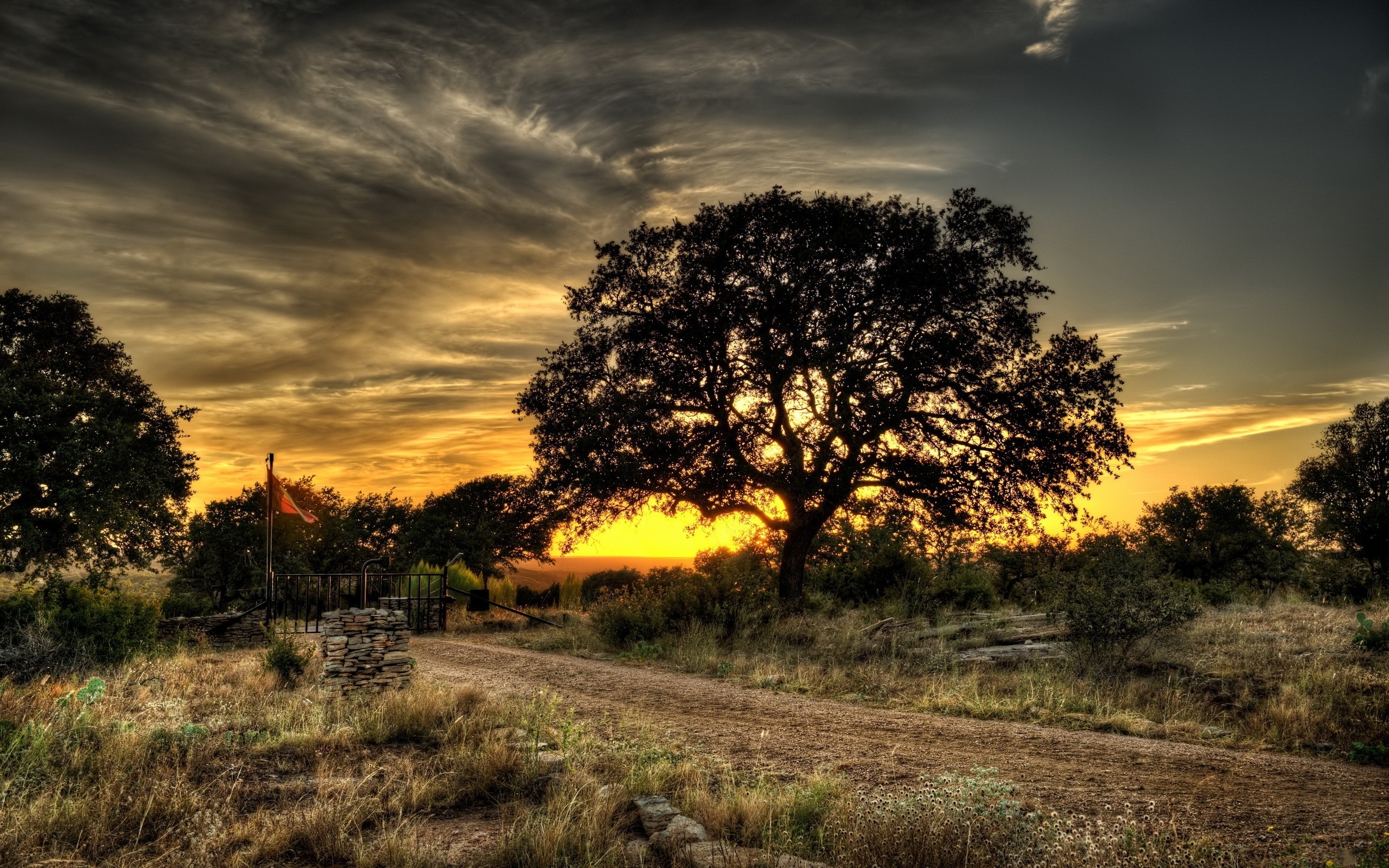 landscapes, Nature, Trees, Hdr, Photography Wallpaper