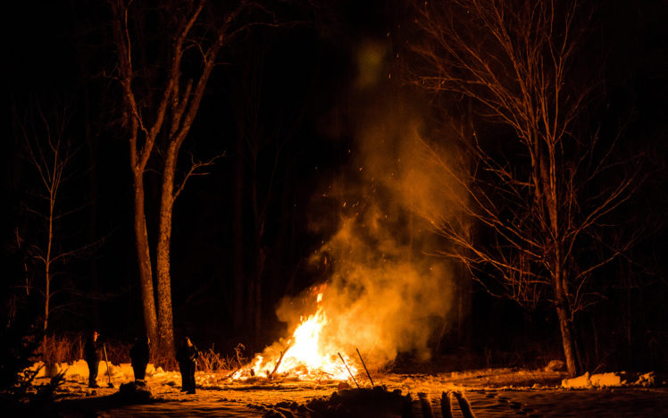 fire, Night, Trees, Camp, Fire HD Wallpaper Desktop Background