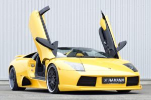 hamann, Lamborghini, Murcielago, Roadster, Cars, Modified, 2010