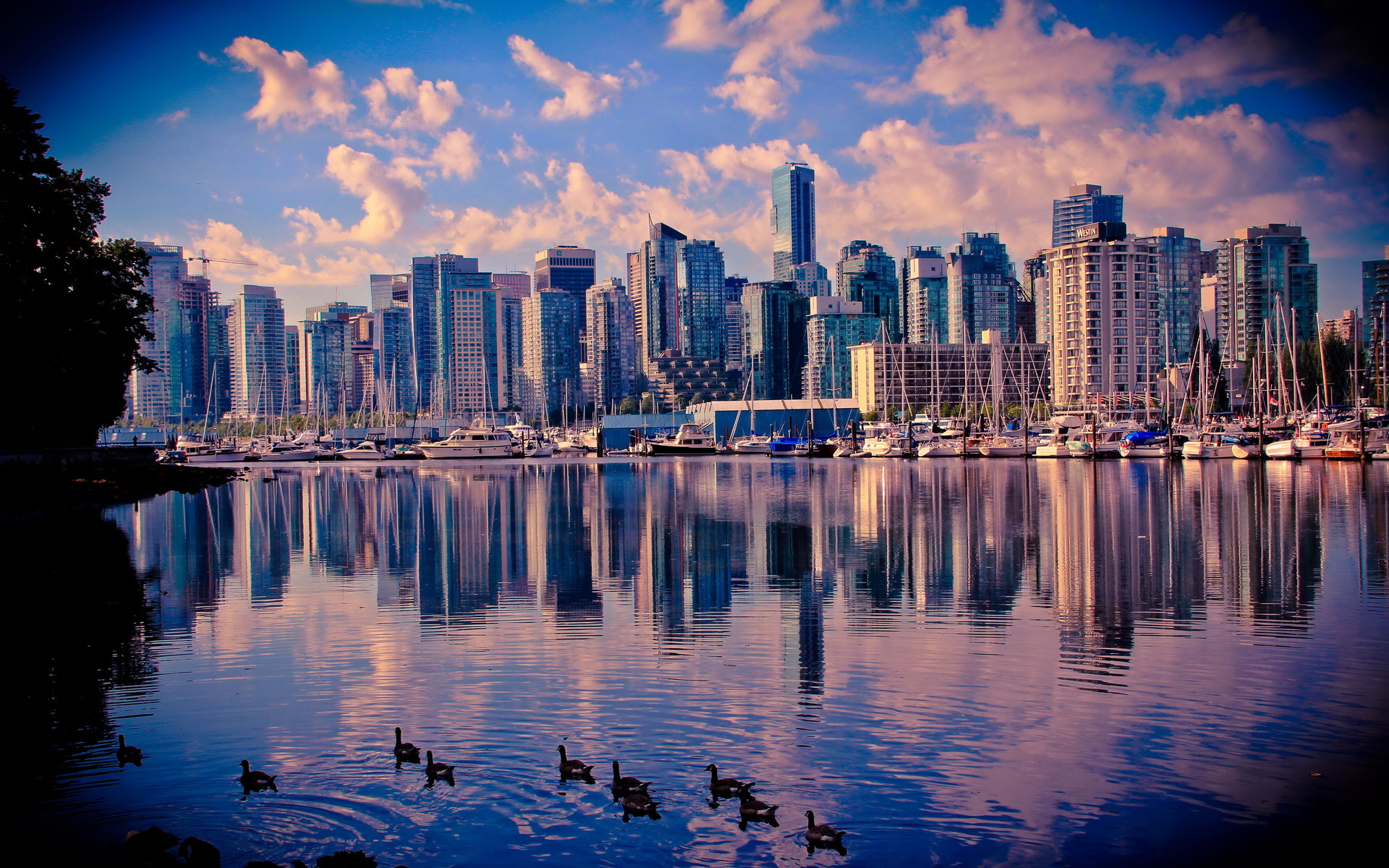 canada, Coast, Vancouver, City Wallpapers HD / Desktop and Mobile  Backgrounds