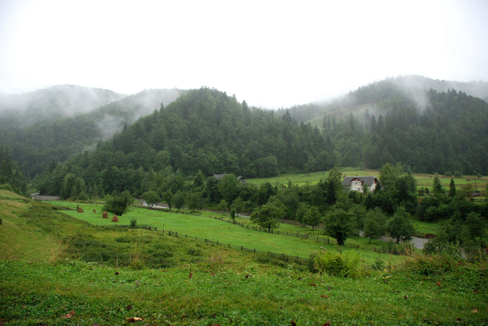 scenery, Ukraine, Mountains, Grass, Nature Wallpaper