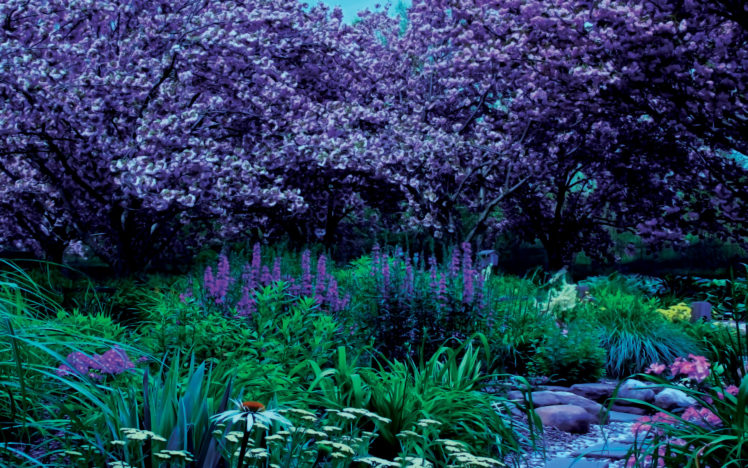 garden, Plants, Rocks, Landscape HD Wallpaper Desktop Background