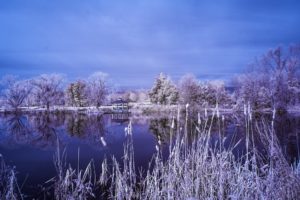lake, Garden, Trees, Frost, Landscape, Winter, Reflection