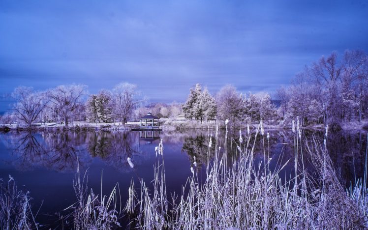 lake, Garden, Trees, Frost, Landscape, Winter, Reflection HD Wallpaper Desktop Background