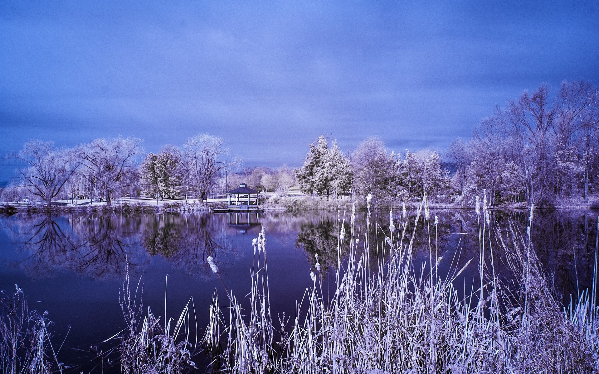 lake, Garden, Trees, Frost, Landscape, Winter, Reflection Wallpaper
