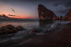 landscape, Crimea, The, Sea, Rocks, Beach, Sunset, Bird