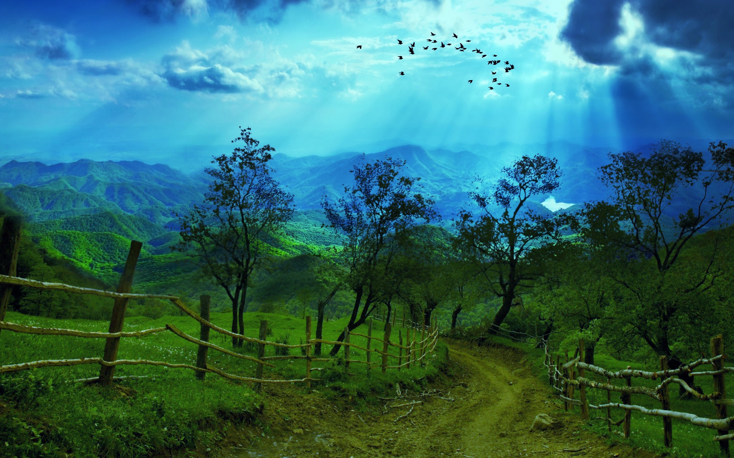 mountain, Road, Trees, Rays, Sky, Birds, Landscapes Wallpaper