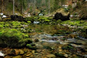 river, Rocks, Wood, Moss, Nature